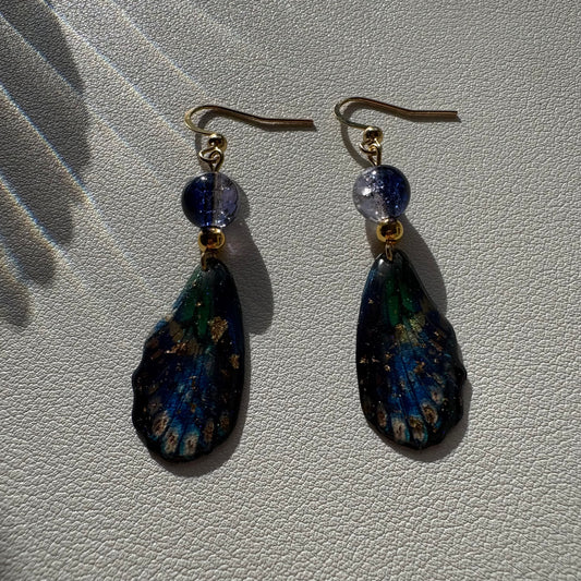 blue butterfly wing earrings